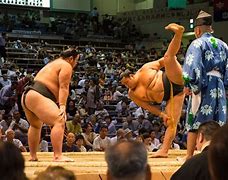 Image result for Famous Sumo Wrestlers