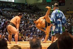 Image result for Sumo Wrestling