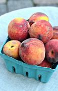 Image result for Small Peach