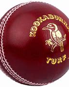 Image result for Playing Cricket