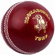 Image result for Cricket Ball Newbury