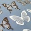 Image result for 3D Butterfly Wall Stickers