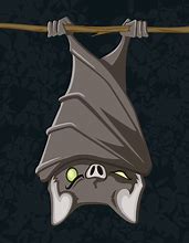 Image result for Hanging Bat Vector