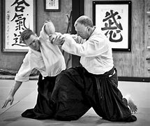 Image result for aikido