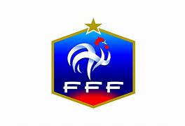 Image result for French Soccer Team Logo