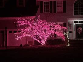 Image result for Christmas Lights On Gutters