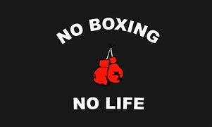 Image result for No Boxing No Life