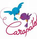 Image result for carapato