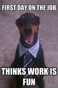 Image result for Awesome Job Dog Meme
