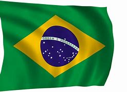 Image result for Brazilian Flag