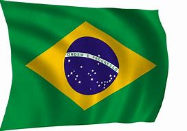 Image result for Flag Do Brasil