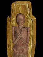 Image result for Mummies Egypt