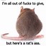 Image result for Giant Rat Meme
