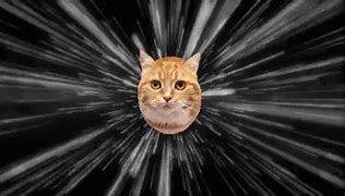 Image result for I AM Speed Cat Meme