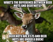 Image result for Deer Puns