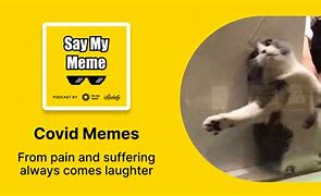 Image result for Covid Cat Meme