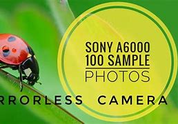 Image result for Sony A6000 Casing