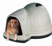 Image result for Igloo Dog House