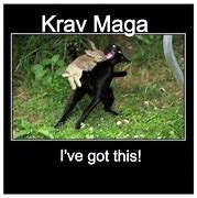 Image result for Krav Maga Jokes
