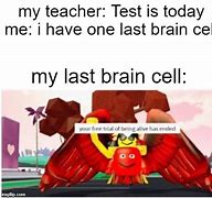 Image result for One Brain Cell Meme