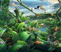 Image result for Jungle Ecosystem