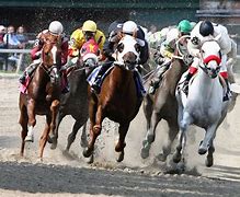 Image result for Arabian Horse Racing Movies