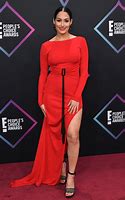 Image result for WWE Nikki Bella Red Carpet