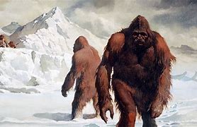 Image result for Kaji Abominable Snowman