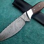 Image result for Kershaw Fixed Blade Knives