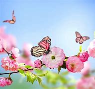 Image result for Spring Flowers with Butterflies