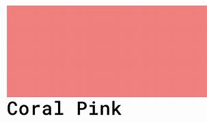 Image result for Coral Pink Screen