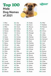 Image result for Top 10 Male Dog Names