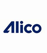 Image result for alicsnto