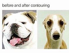 Image result for Contouring Memes