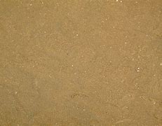 Image result for Sand Wooden Texture