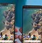 Image result for Pixel 3 Screen Size