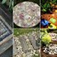 Image result for DIY Stepping Stone Walkway