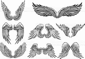 Image result for CFB Wing Insignia