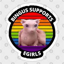 Image result for Zingus Meme Cat