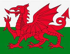 Image result for Welsh Flag Cartoon
