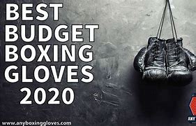 Image result for Best Budget Boxing Gloves