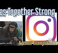 Image result for Apes Together Strong Destiny 2 Titan Meme