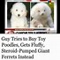 Image result for Funny News Images