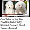 Image result for Funny News Headlines