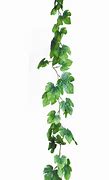 Image result for Post with Vine Leaves
