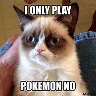 Image result for Pokemon Grumpy Cat Memes