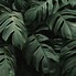 Image result for Dark Green iPad Wallpaper