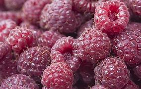 Image result for BlackBerry Berry