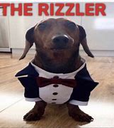 Image result for Rizz Dog Meme