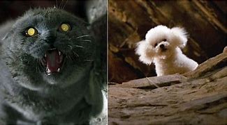 Image result for Scary Animals in Movies